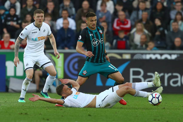 退役后的多 退役后的多